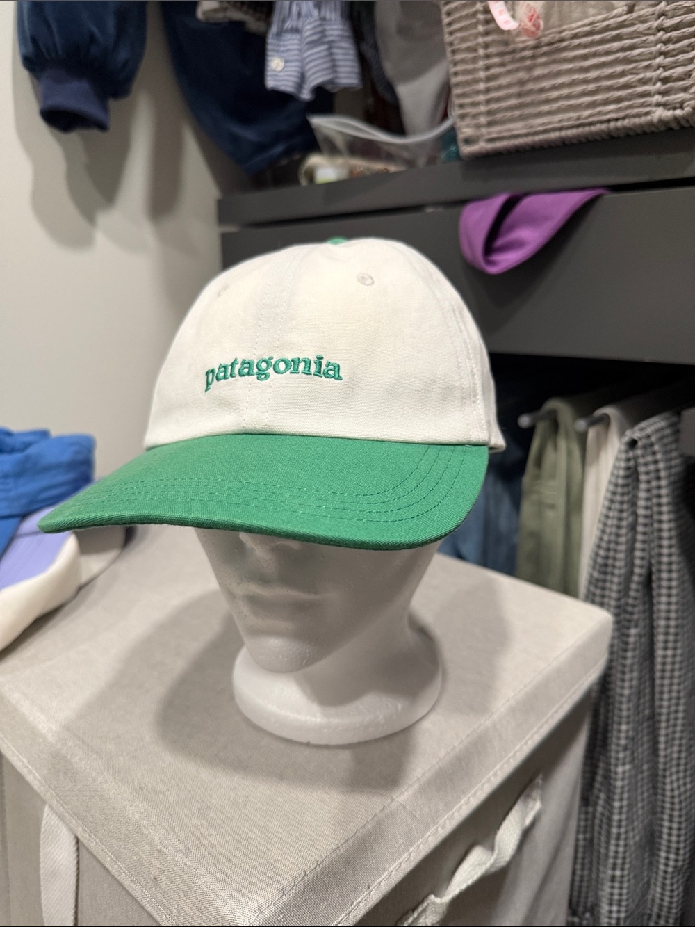 Patagonia Fitz Roy Hat RARE